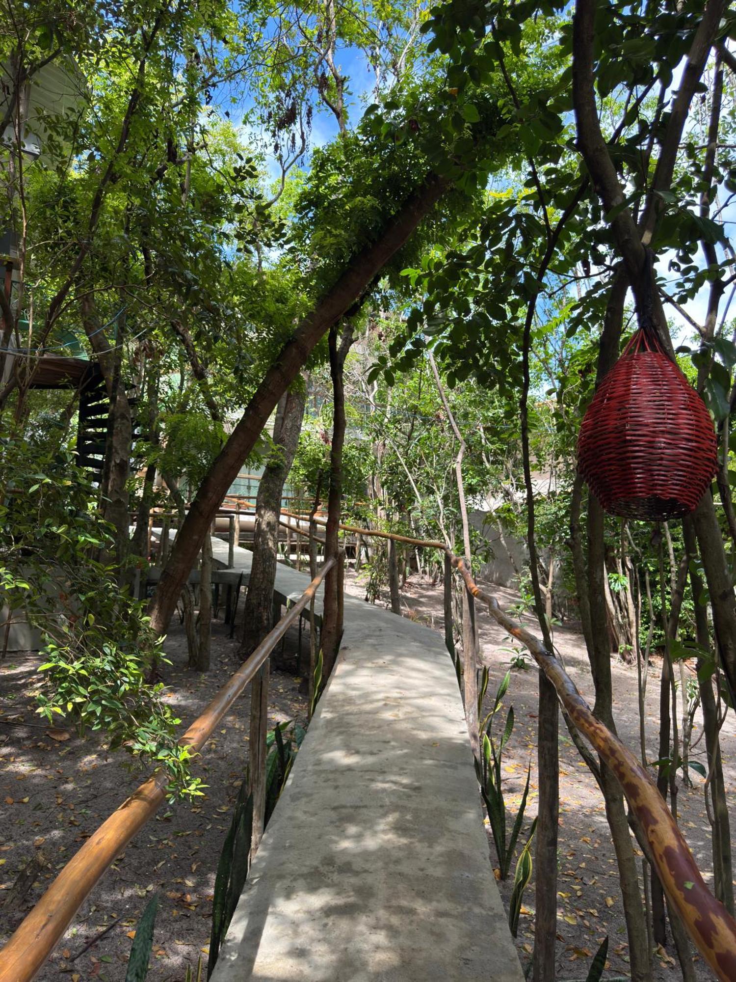 Ninhos Da Pipa Villa Praia de Pipa Buitenkant foto